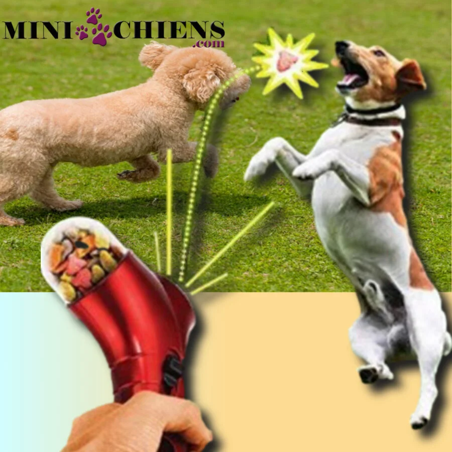 Catapulte distributeur de friandises pour Mini-Chiens