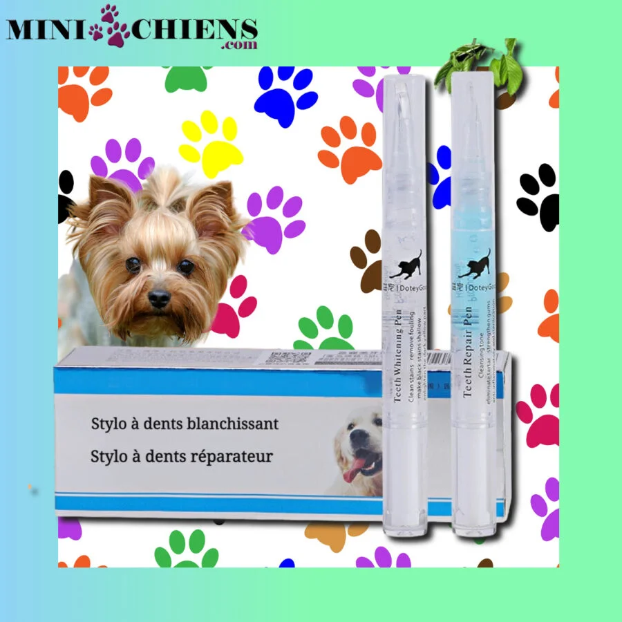 Kit Dentaire Soin et Réparation pour Mini Chiens