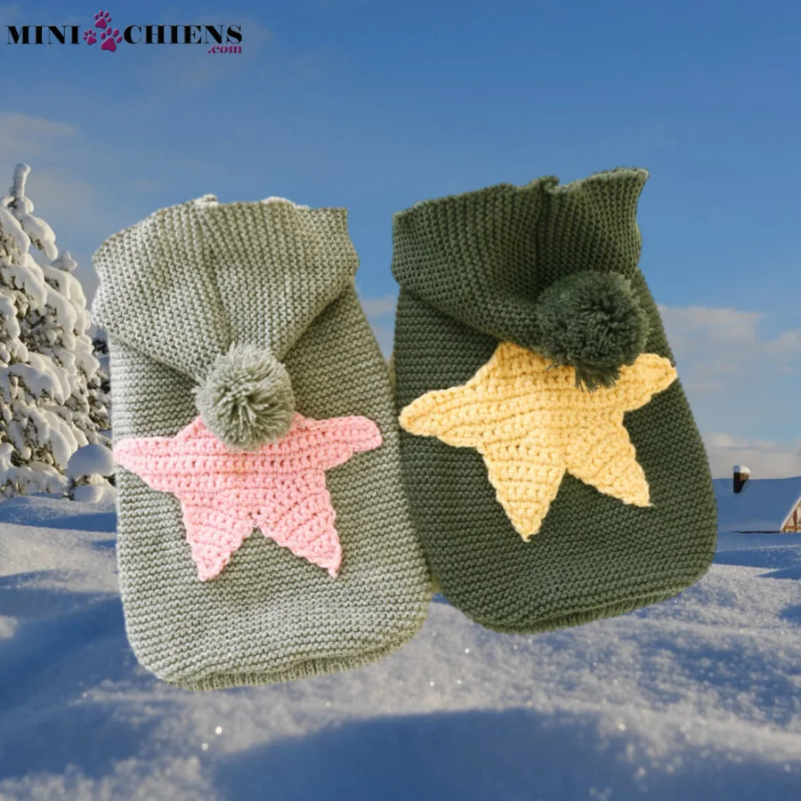 Pull à Capuche et Pompon pour Mini-Chiens
