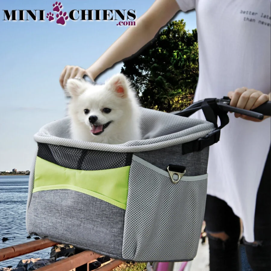 anier de transport pour vélo spécial Mini-Chiens
