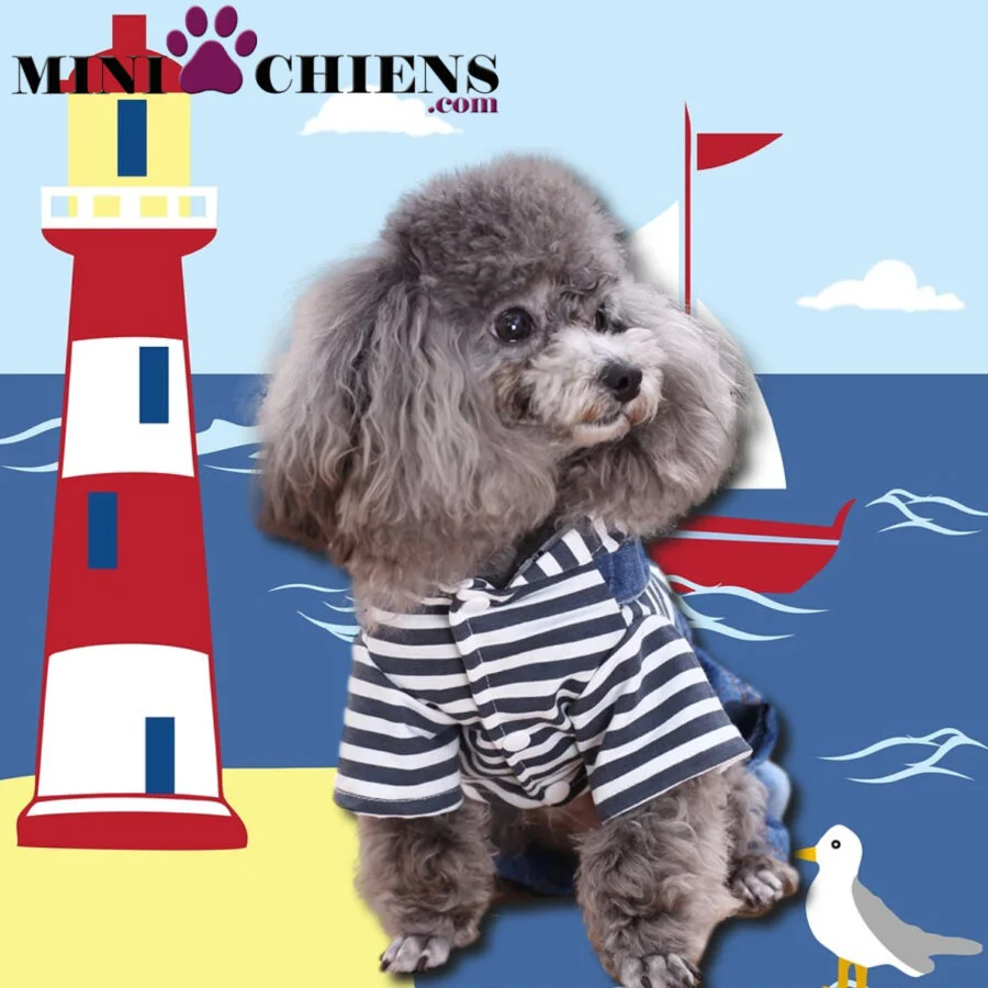 Salopette à Capuche pour Mini-Chiens