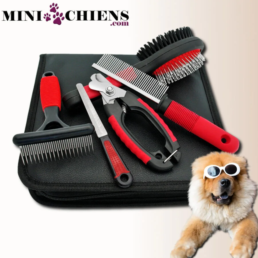 Kit de toilettage pour Mini Chiens