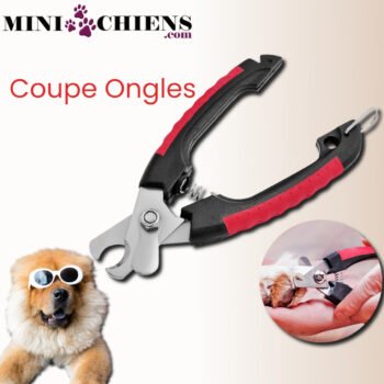 Kit de toilettage pour Mini Chiens