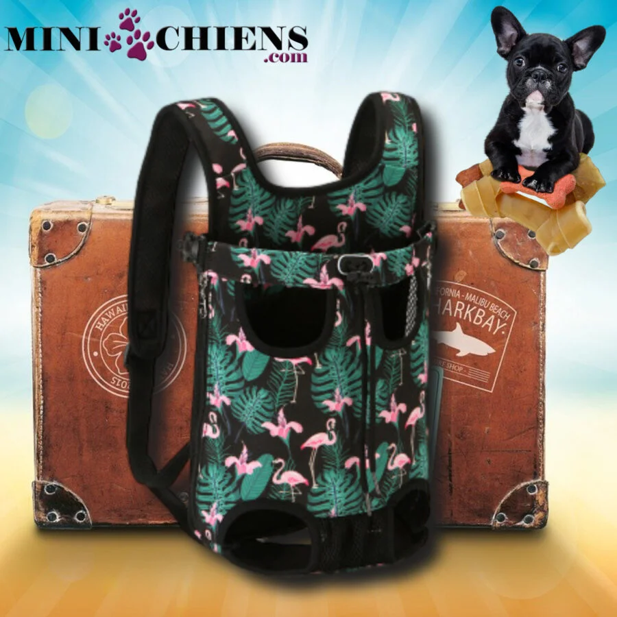 Sac à dos de transport ventral pour Mini-Chiens