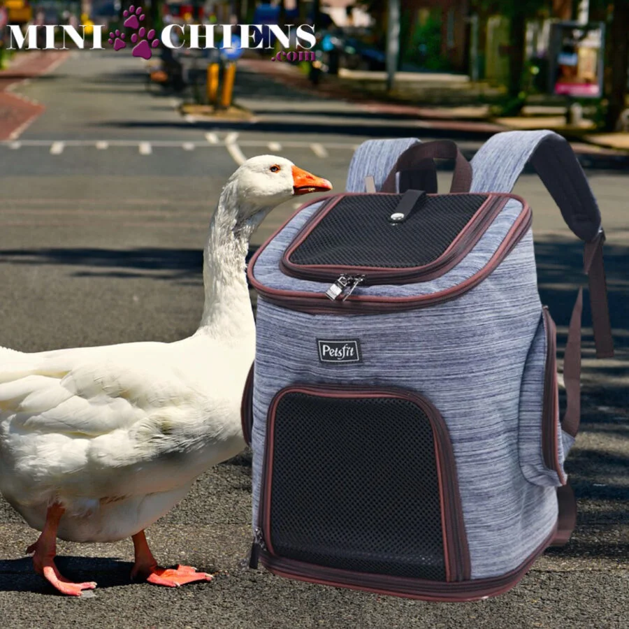 Sac à dos de transport pour Mini-Chien