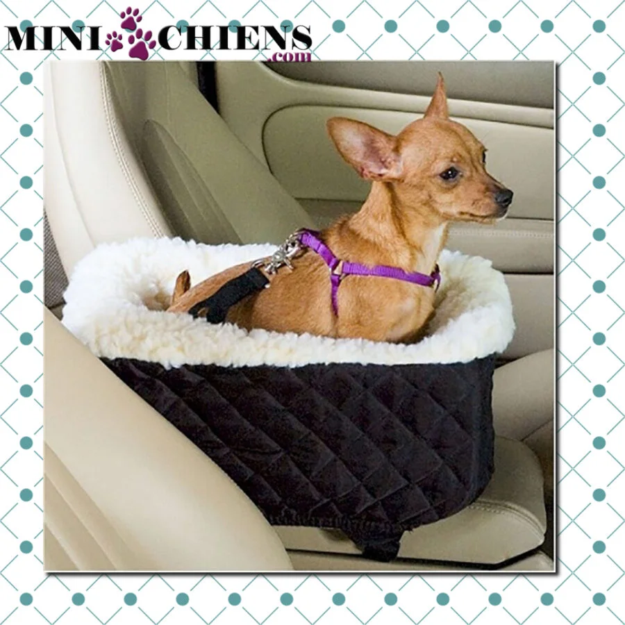 Siège Auto Cocooning pour Mini-Chiens