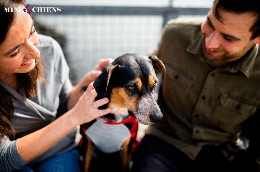 deux personnes mini-chien caresse gentils