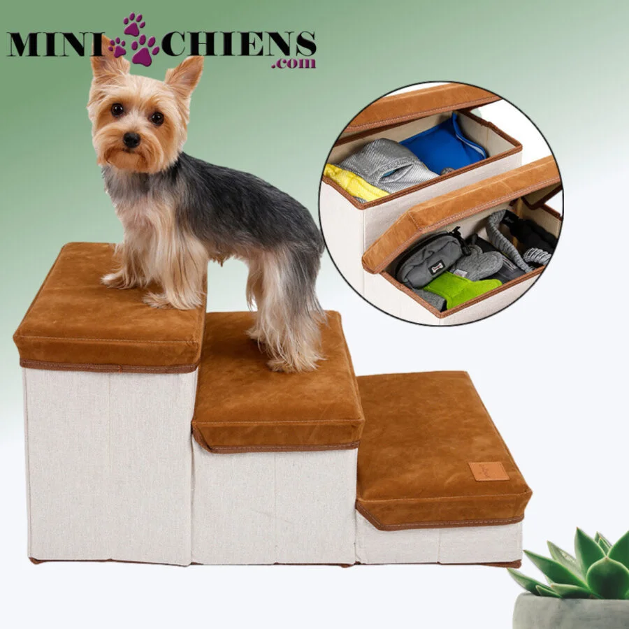 Escalier de rangement pliable pour Mini-Chiens