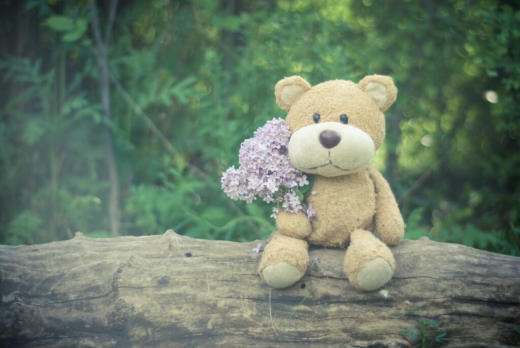 peluche pour petit chien