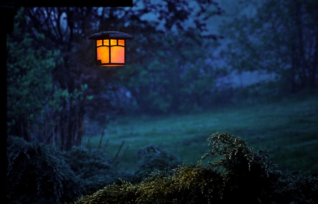 promener son chien la nuit